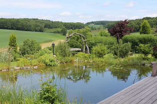 Blick �ber den Teich