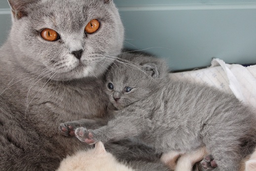 BoomitMinu3Wochen BoomitMinu3Wochen