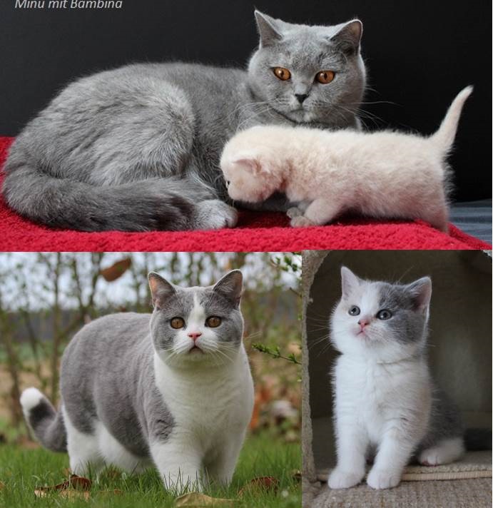 Gruppenfoto Visitenkarte