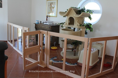 Kinderstube Schwich klein