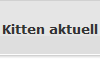 Kitten aktuell