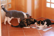 MamaEisenherzPapaFr�hst�ck